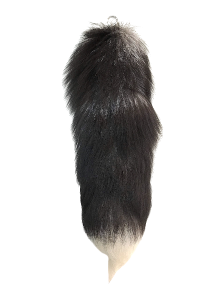 Real Fox Tail